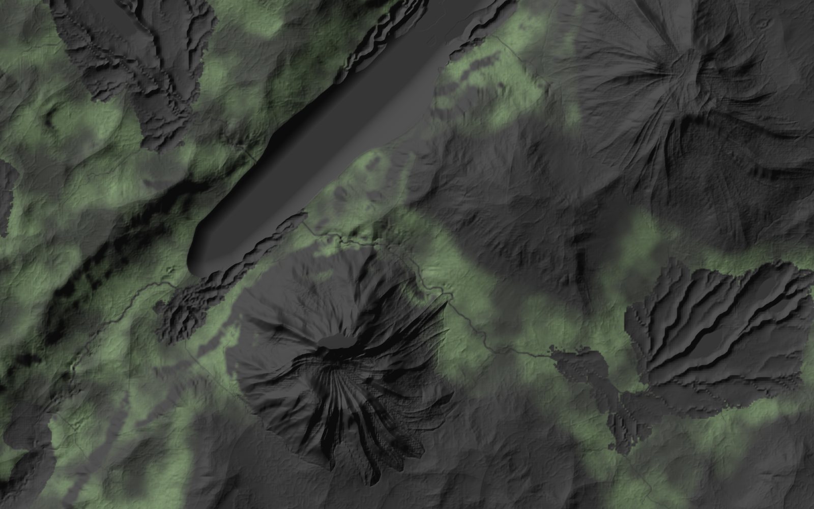 Density of a pinewood population across the terrain