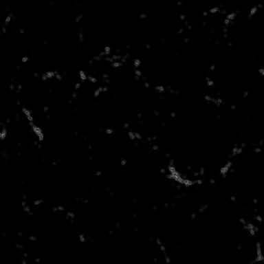Debris / Rocks with default settings